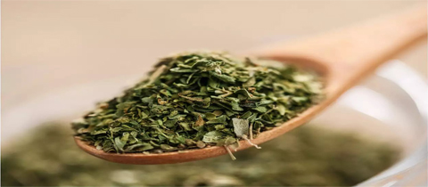 Moringa